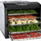 Ivation Electric Countertop Food Dehydrator, $80